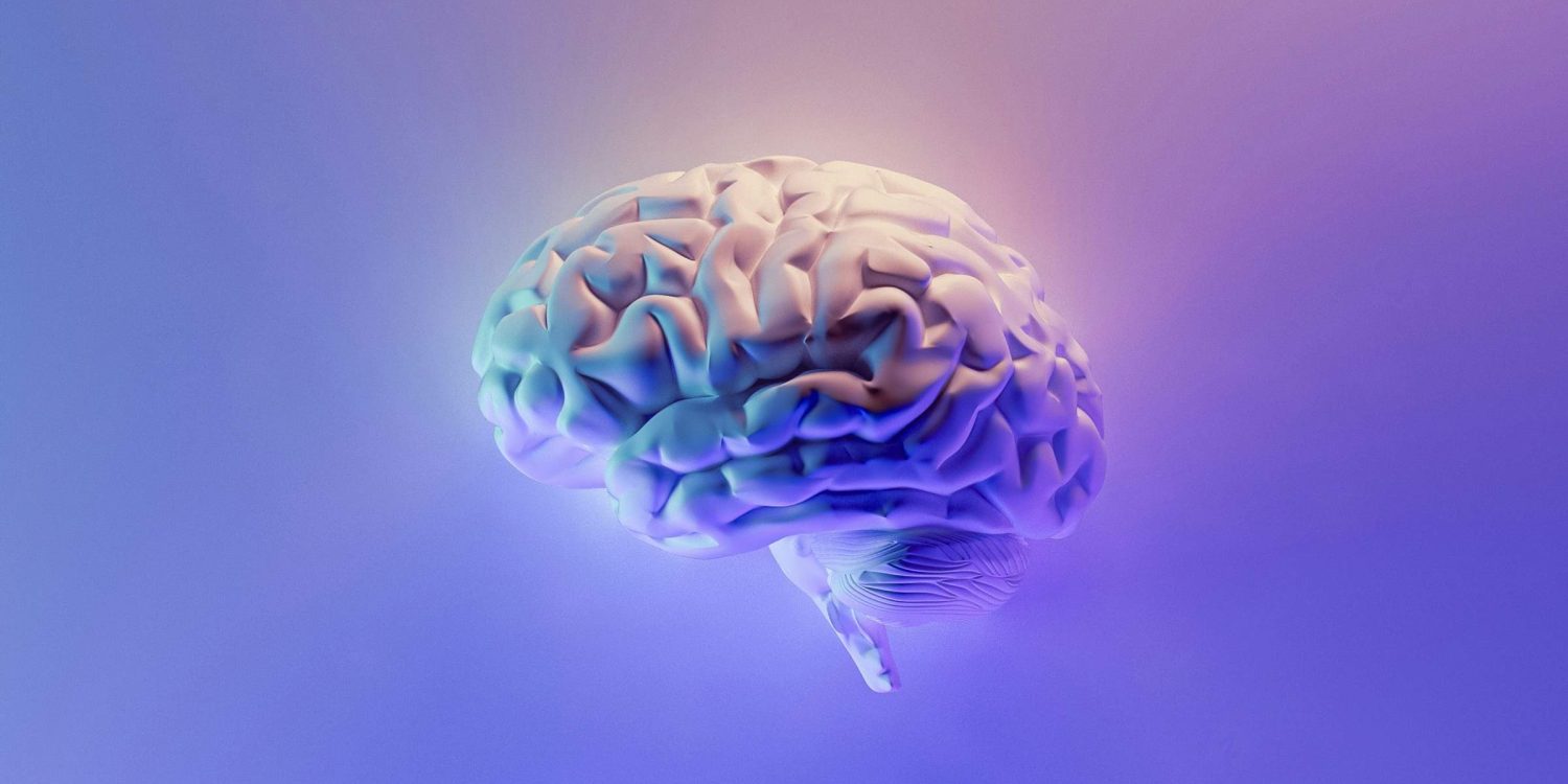 landsc-4x3-cover-z88764